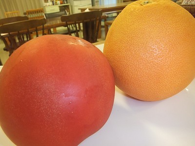 とまととグレープフルーツ。