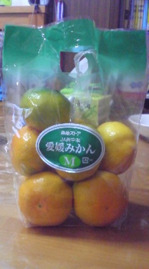 20071026-00.jpg