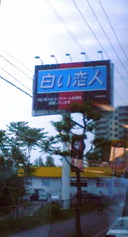 20080619-01.jpg