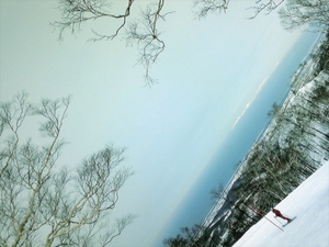 20090211-02.jpg