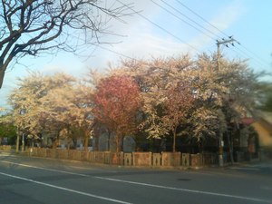 20070510-00.jpg