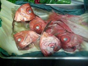 20070515-02.jpg