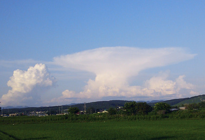 1373930131-umo.JPG