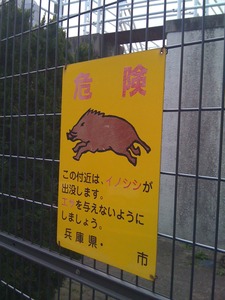 1377215178-IMG_1183.jpg