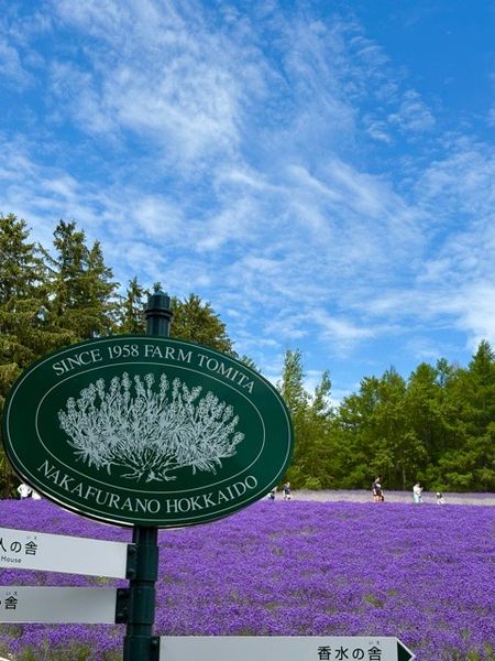 furano1.JPG