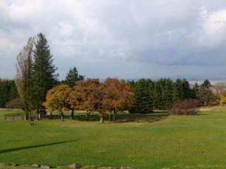 201107_1244~010001.jpg