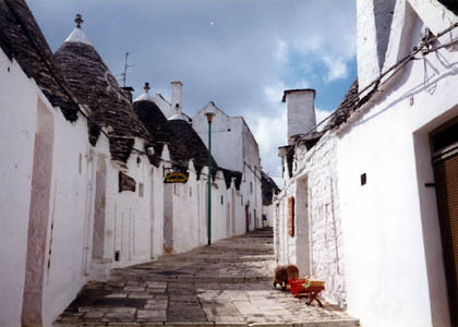 20060104-01.JPG