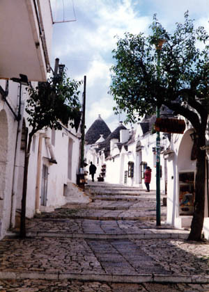 20060104-03.JPG