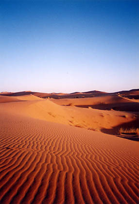 20060204-00.jpg
