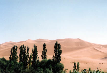 20060204-01.jpg