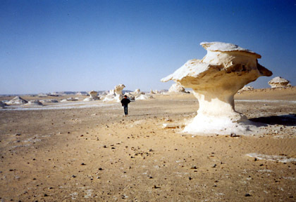 20060204-02.JPG