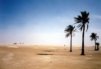 20060206-00.jpg