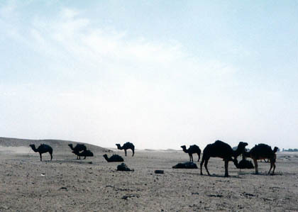 20060206-02.jpg