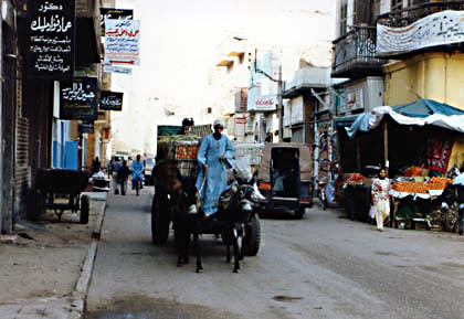 20060213-00.jpg