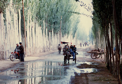 20070808-02.JPG