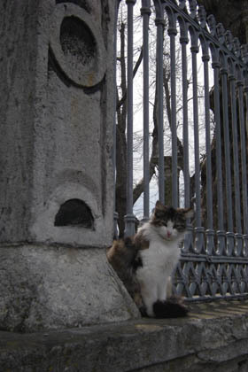20080621-01.jpg