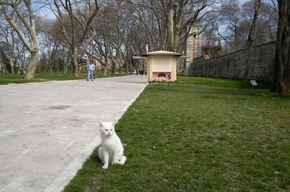 20080621-02.jpg