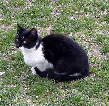 20080621-03.jpg