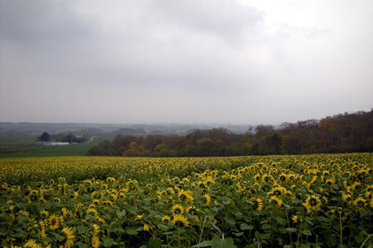 20081019-00.JPG