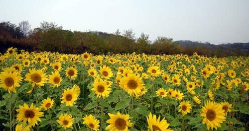 20081020-00.JPG