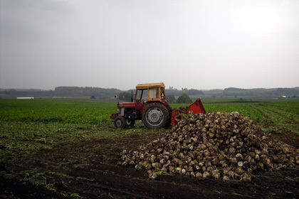 20081020-04.JPG
