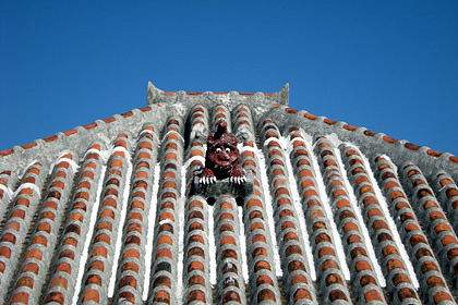 20090129-00.JPG