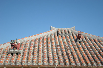 20090129-03.JPG