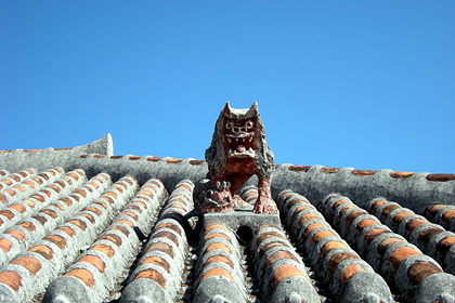 20090129-04.JPG
