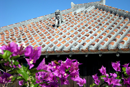 20090129-05.JPG