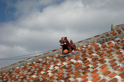 20090129-06.JPG