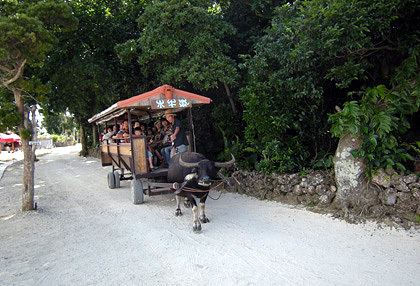 20090206-02.JPG