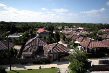 20090206-03.JPG