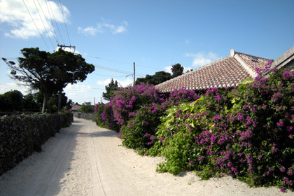 20090206-04.JPG