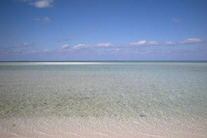 20090208-02.JPG