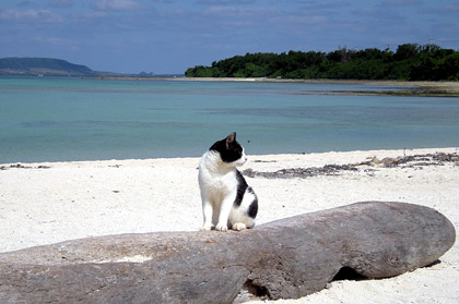 20090208-03.JPG