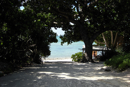 20090208-04.JPG