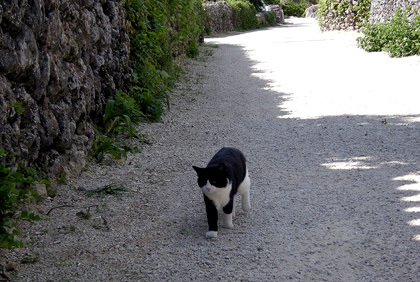 20090208-05.JPG