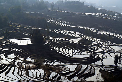 20100330-00.JPG