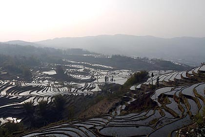 20100330-01.jpg