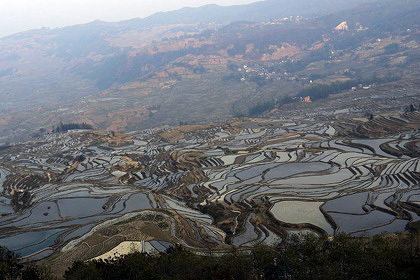20100330-02.jpg