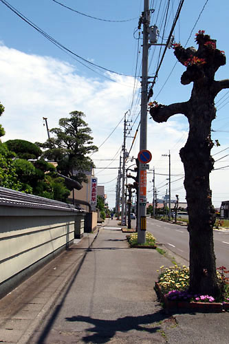 1432973088-201505tokushima03.jpg
