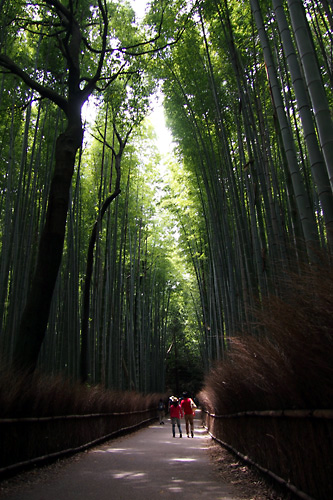 1432974050-201505kyoto03.jpg