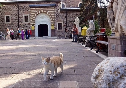 1444584425-image.jpg