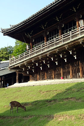 1463988647-201605todaiji03.jpg
