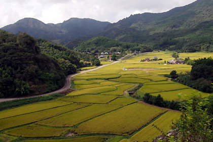 1475667964-201610tashibunosho04.jpg