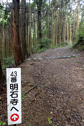 1481026032-201610ehime06.jpg