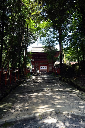 1502113364-201708hiyoshijinja01.jpg