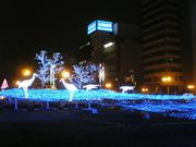 20111202-00.JPG
