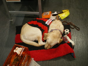 20121201-00.JPG