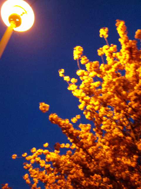 090516_1923091.jpg